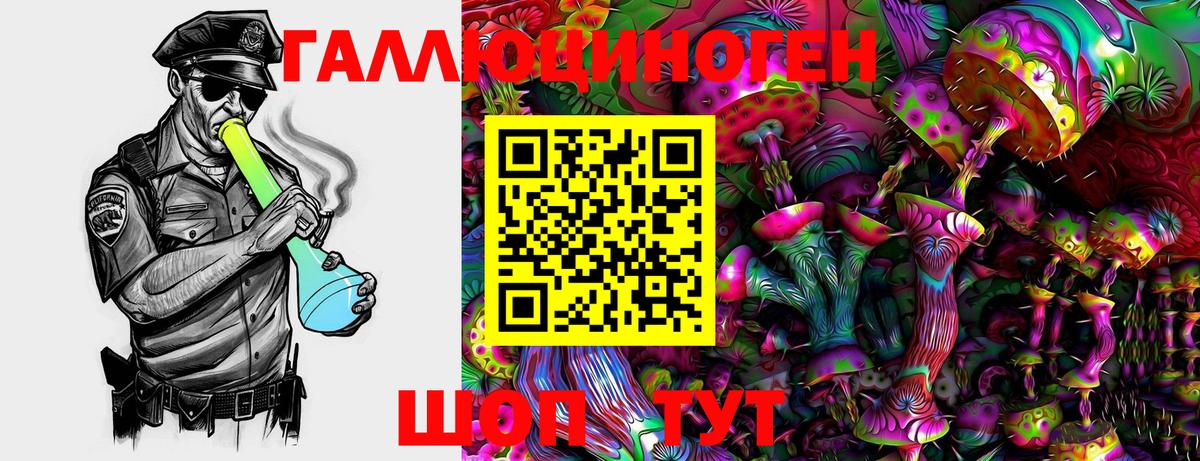 Реутов  Галлюциногенные грибы Psilocybine cubensis  Вход с VPN 