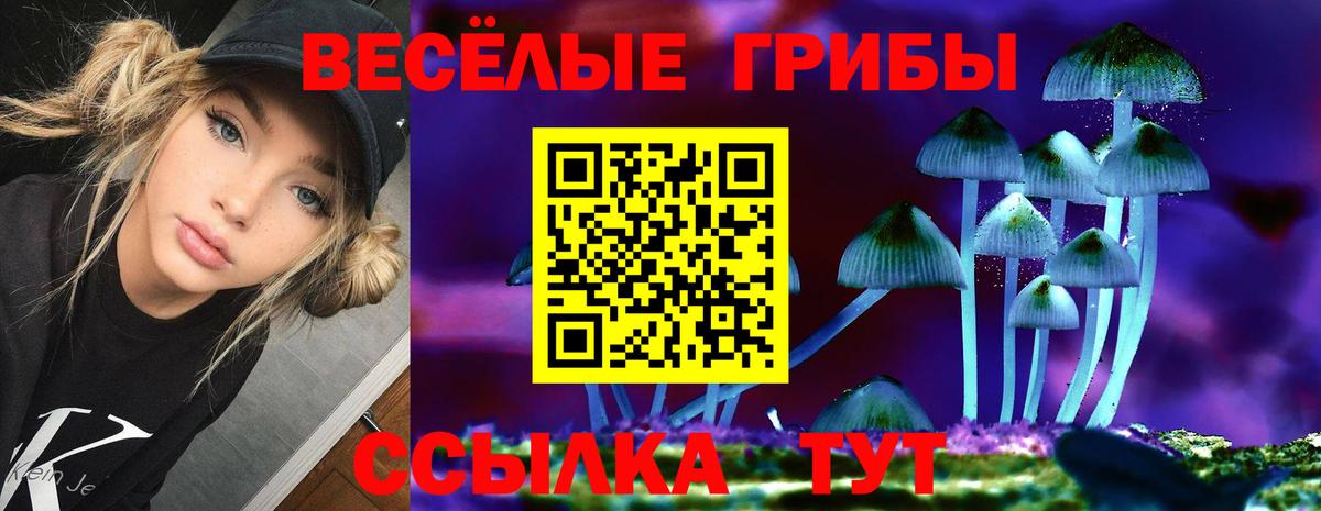 Псилоцибиновые грибы прущие грибы Реутов